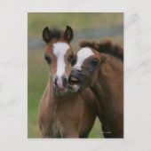 フォール遊ズ ポストカード (正面)