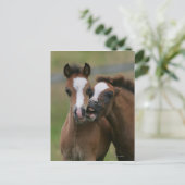 フォール遊ズ ポストカード (スタンド正面)