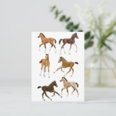 フォール ポストカード (スタンド正面)