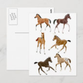 フォール ポストカード (正面/裏面)