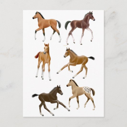 フォール ポストカード (正面)