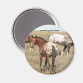 フォール マグネット (正面/裏面)