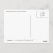 フォーレストの狼男シャーマン ポストカード (裏面)