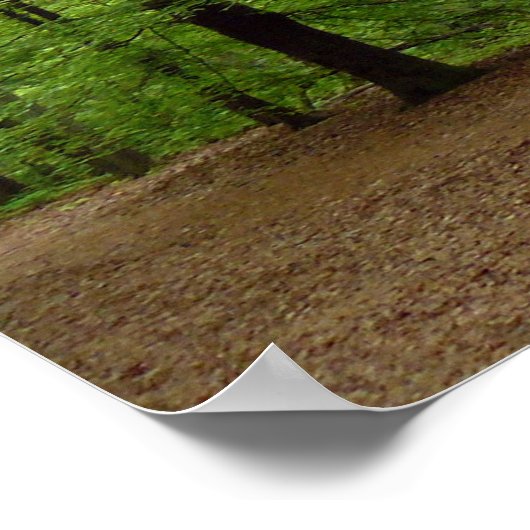 フォーレスト ポスター (角)