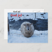 フォーレフジュンジュルコート ポストカード (正面/裏面)