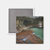 フォー離れク | Zion国立公園(ユタ州) マグネット (正面/裏面)