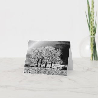 フォー・シスターズ カード