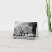 フォー・シスターズ カード (正面)