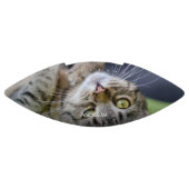 フカスタムォトフットボール アメリカンフットボール (パネル)