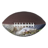 フカスタムォトフットボール アメリカンフットボール (正面)