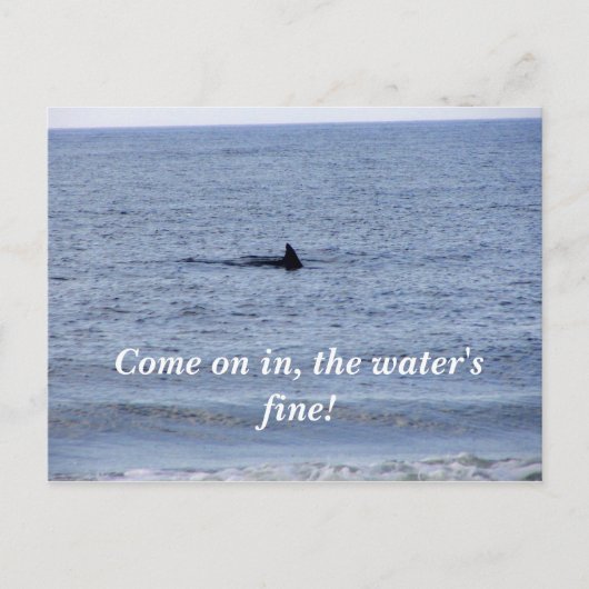 フカヒレはがき ポストカード (正面)