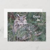 フクロウありがとうポストカード ポストカード (正面/裏面)