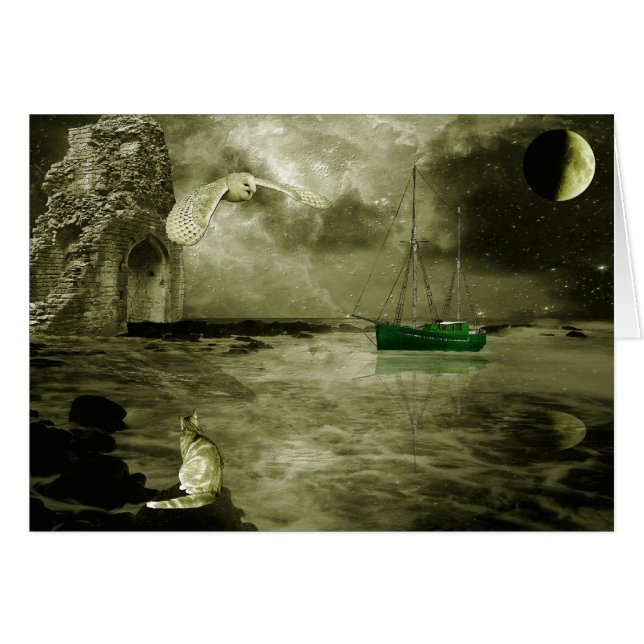 フクロウおよび猫 (正面横)