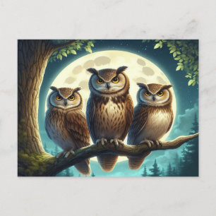 フクロウお洒落トリオ ポストカード