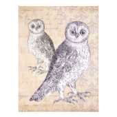 フクロウがあなたを見ているヴィンテージコラージュ フォトプリント            (正面)