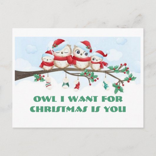 フクロウがクリスマスポストカードに ポストカード (正面)