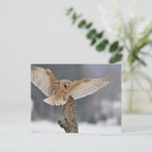 フクロウがスパイクに着地する ポストカード (スタンド正面)