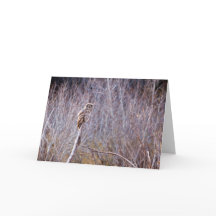 フクロウがハッピーホリデー