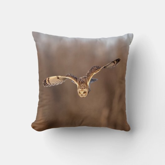 フクロウが地面に潜る クッション (正面)