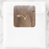 フクロウが地面に潜る スクエアシール (バッグ)