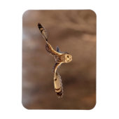 フクロウが地面に潜る マグネット (縦)