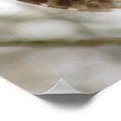 フクロウが獲物を探して警告する雨の多い羽 ポスター (角)