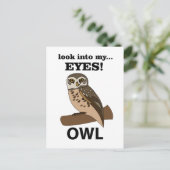 フクロウが私の目を見る ポストカード (スタンド正面)