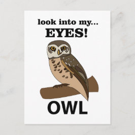 フクロウが私の目を見る ポストカード