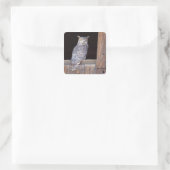 フクロウが窓に止まった スクエアシール (バッグ)