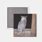 フクロウが窓に止まった マグネット (正面/裏面)
