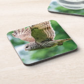 フクロウが飛んでいる間 コースター (左側)