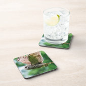 フクロウが飛んでいる間 コースター (右側)