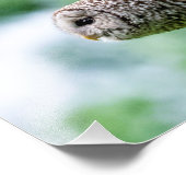 フクロウが飛んでいる間 フォトプリント (角)