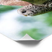 フクロウが飛んでいる間 フォトプリント            (角)