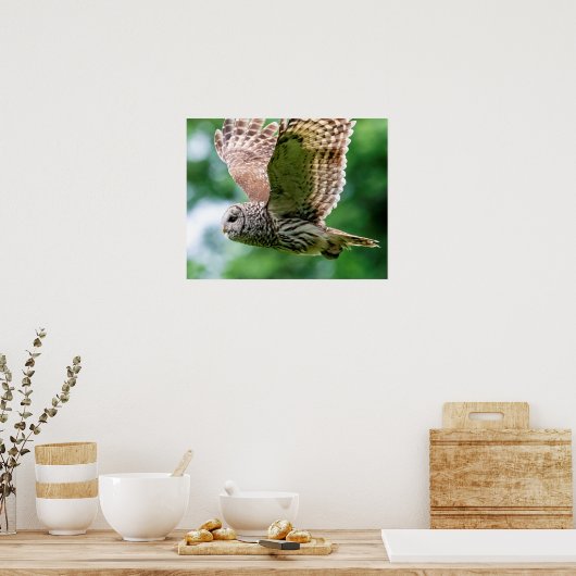 フクロウが飛んでいる間 ポスター (キッチン)