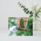 フクロウが飛んでいる間 ポストカード (スタンド正面)