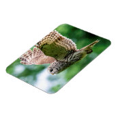 フクロウが飛んでいる間 マグネット (左側)