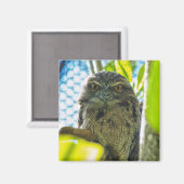 フクロウじゃないよ マグネット (正面/裏面)
