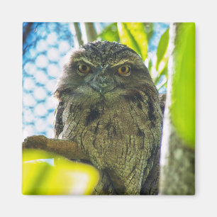 フクロウじゃないよ マグネット