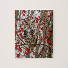 フクロウとカエデ葉の