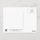 フクロウとカシの木お洒落の風景画 ポストカード (裏面)