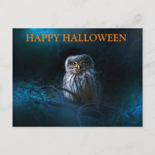 フクロウとハロウィーンの怖い夜 ポストカード