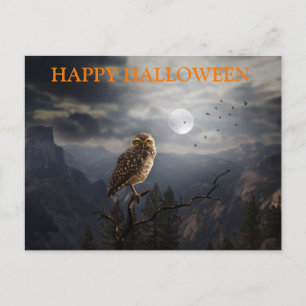 フクロウとハロウィーンの怖い夜 ポストカード