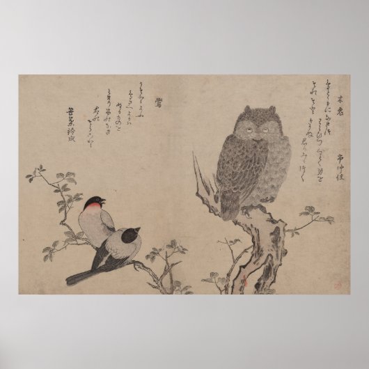 フクロウとフクロウ – 北川歌麿 ポスター (正面)