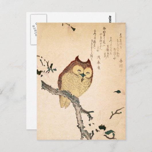 フクロウとマグノリア – 小節に美しく ポストカード (正面/裏面)