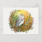フクロウと月 ポストカード (正面)