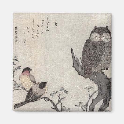フクロウと東部のブルフィンチ マグネット (正面)