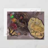 フクロウと蝶 ポストカード (正面/裏面)