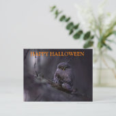 フクロウと過ごすハロウィンの夜 ポストカード (スタンド正面)