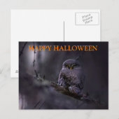 フクロウと過ごすハロウィンの夜 ポストカード (正面/裏面)